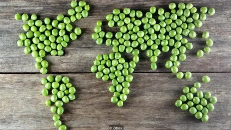 如果Yaxin美食城全面推行素食，每年能少失去多少生命？